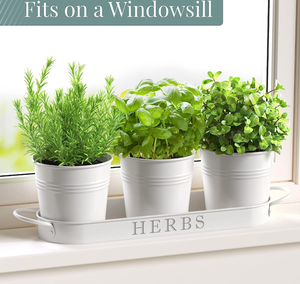 Ensemble de jardinières pour herbes aromatiques d'intérieur avec plateau, pots de fleurs en métal pour rebord de fenêtre avec drainage pour plantes d'extérieur ou d'intérieur - Product Image 4