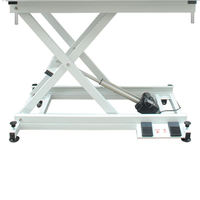Table de toilettage pour chien réglable en hauteur, en acier inoxydable organique, avec éclairage LED, écologique