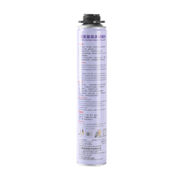 Mousse expansive polyuréthane PU en spray 750 ml, liquide pour la construction, type mousse de construction - Vente chaude
