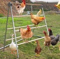 Nuevo Poste de Descanso para Gallinero, Barra de Descanso Grande para Aves, Escalera Resistente para Patos, Accesorios y Juguetes para Corrales, Galvanizado en Caliente