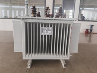 Transformateur immergé dans l'huile S13 3000 kVA pour la transmission d'énergie des parcs éoliens