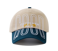 Casquettes de baseball sportives personnalisées à blocs de couleur léopard pour hommes et femmes, logo brodé, 100 % coton, petite série, marque streetwear