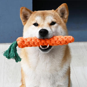 Jouet à mâcher en corde de coton pour animaux de compagnie, jouet tressé durable pour chien, forme de carotte, taille moyenne - Product Image 1