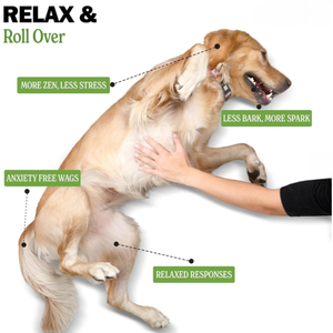 Suplementos Personalizados OEM/ODM para el Cuidado de la Salud de Mascotas, Masticables Suaves de Semillas de Cáñamo Orgánico Naturales, Calmantes y Altos <span class=keywords><strong>en</strong></span> Proteínas para Perros y <span class=keywords><strong>Gatos</strong></span> - Product Image 4