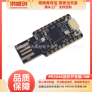 Carte de développement Raspberry Pi PR2040 Mini 4M USB pour le développement - Product Image 5