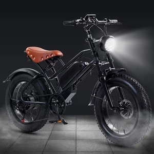 Scooter à neige tout-terrain avec pneus larges 20"*4.0, jantes, moteur 500w 48v, et amortisseurs multiples Yj-500w 500w 48v Yj-5 - Product Image 3