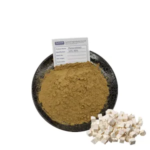 Hot sale 50% Polysaccharide powder Poria Cocos Extract powder Poria Cocos Extract