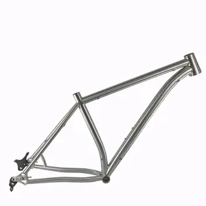 Last life-time 29 mtb bicycle frame Titanium hardtail bike frame