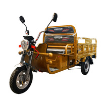 Tricycle Listrik Ukuran Dapat Disesuaikan 1000W dengan Kotak Kargo untuk Penggunaan Pertanian