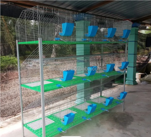 Sıcak satış 3 katlı 12 kapı tavşan üreme kafesleri kolay temiz tel örgü ticari ucuz et lüks Metal tavşan kafesleri ile tepsi - Product Image 6