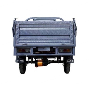 Triciclo Eléctrico Chino para 2 Personas, para Transportar Pasajeros y Carga Pesada, con Motor de 1200W - Product Image 6