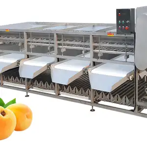 Appleสีส้มมันฝรั่งผักและผลไม้Sorting Grading Machine