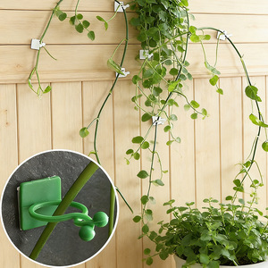Creative Thumb Hook Adhesive Wall Mount Green For Pothos Vines And Cables Storage - Product Image 1