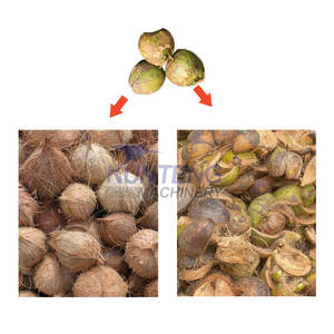 Tam otomatik hindistan cevizi kabuğu makinesi hindistan cevizi de kabuğu makinesi endüstriyel dehusk makinesi hindistan cevizi - Product Image 6