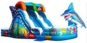 Inflatable PVC <b>Pool</b> <b>Slide</b> for All Ages-Commercial Use 800kg Capacity 12-Person - Product Image 5