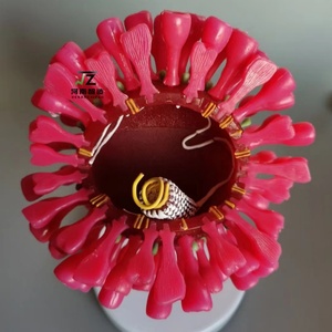 Mô hình giảng dạy và đào tạo y tế của mô hình virus tế bào chất lượng cao - Product Image 5