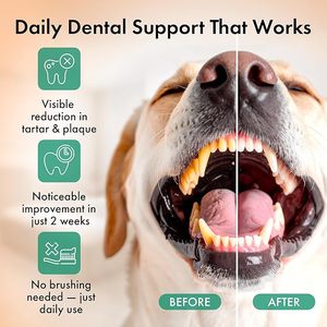 Polvo Dental para <span class=keywords><strong>Perros</strong></span> Más Vendido OEM/ODM, Polvo para Limpieza Dental de <span class=keywords><strong>Perros</strong></span>, Reduce la Placa Dental y el Mal Aliento en <span class=keywords><strong>Perros</strong></span> - Product Image 6