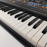Aiersi Brand 61 Keys Portable Electric Organ Digital Electronic Keyboard with Touch Response LCD Display