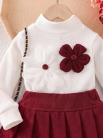 Ensemble deux pièces pour bébé fille : Haut décontracté uni à fleurs 3D et jupe plissée – Meilleure vente 2026