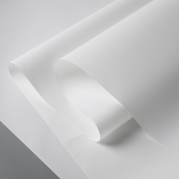 Rollo de Lienzo de Poliéster IJcanvas para Impresión con Plotter, Tinta de Pigmento Mate para Impresión UV/Digital de 24''-72'' X 30/50m
