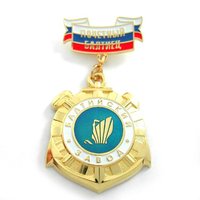 Médaille commémorative personnalisée avec votre propre logo, or avec ruban, émail doux, médaille d'honneur, badge