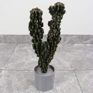 <span class=keywords><strong>ต้น</strong></span>ไม้ประดิษฐ์จำลองกระบองเพชรสำหรับตกแต่งภูมิทัศน์บอนไซในธีมทะเลทรายเขตร้อน - Product Image 3