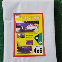 Bâche en plastique PE épaissie, résistante à l'usure, imperméable, toile, pare-soleil, tissu rayé, protection solaire, bâche anti-poussière