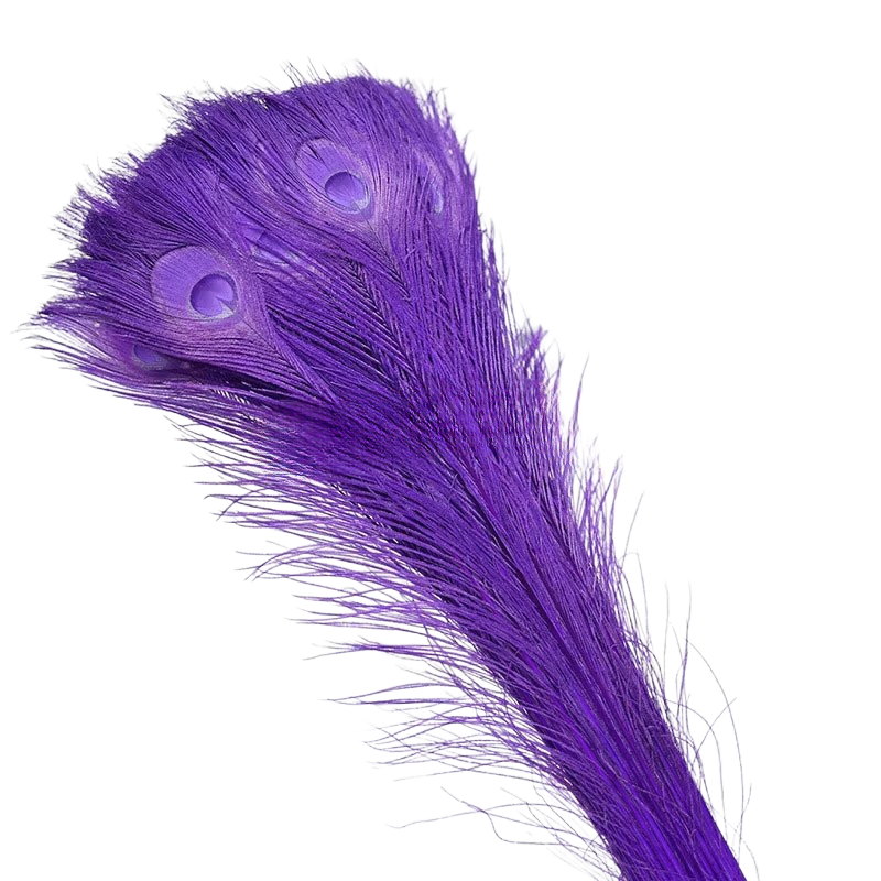 Pourpre