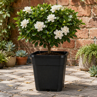Pots de fleurs suspendus carrés en plastique PP, durables, mignons, style Japandi, avec trou de drainage, légers, pour intérieur et extérieur, vente en gros