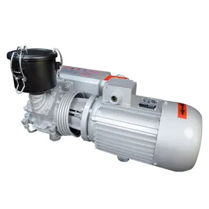 Built-in Oil Mist Filter Qualitative Materials Oil Rotary Pump for Concentration and suction