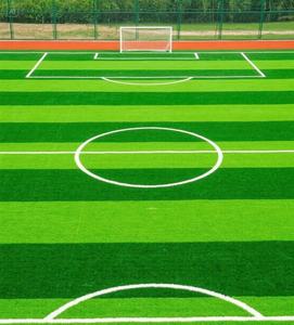 <span class=keywords><strong>Prix</strong></span> réduits pour les pelouses de terrains de football en salle fabriquées en Chine - Product Image 1