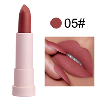 Rouge à lèvres mat végétalien en velours nude, ingrédients minéraux, lèvres rétro, marque privée avec tube rose mignon, logo personnalisé