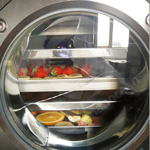 OCEAN Fruit Freeze Dryer Machine Mini Instant Coffee Lyophilizer <strong>Scorpion</strong> Venom Sublimation Dryer for Food - Product Image 5