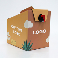 Sac à bec debout 1L 3L 5L 10L dans une boîte pour sac à bavoir liquide Récipient en plastique avec logo d'impression personnalisé et bouchon à vis