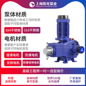 ปั๊มสูบจ่ายสารเคมีแบบลูกสูบ Shanghai Sunshine Pump รุ่น DZ-ZR ทำจากสแตนเลส 316  กำลังไฟฟ้า 6.5 ลิตร/นาที ระยะส่ง 30 เมตร - Product Image 4