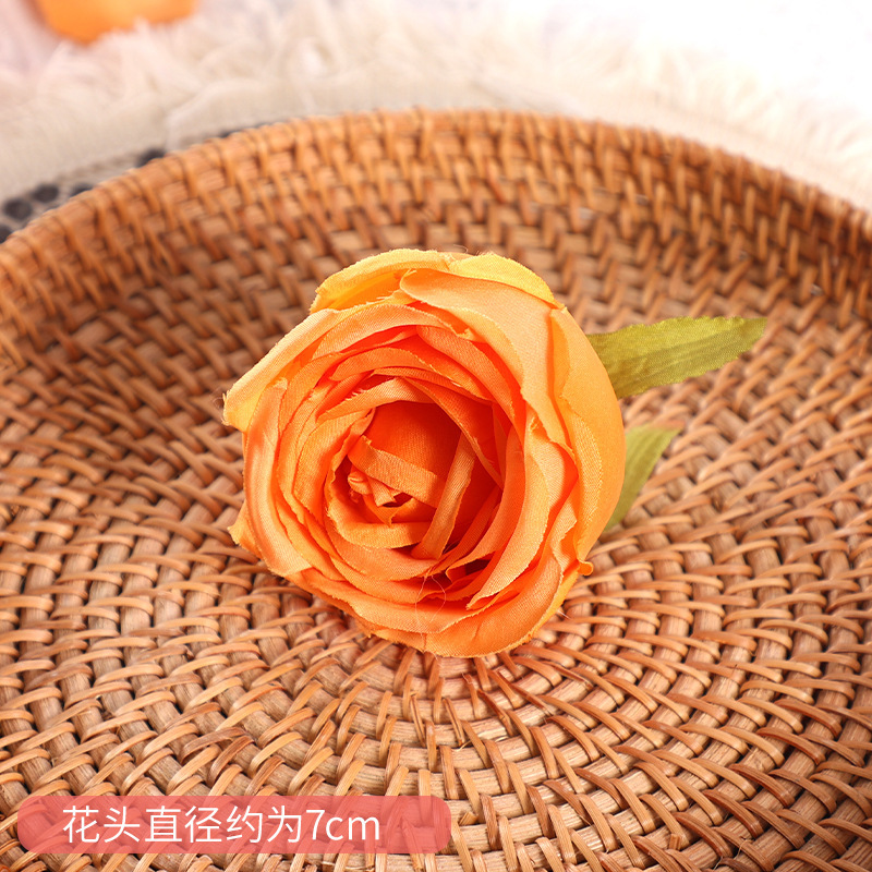 Rose Impériale - Orange-Jaune