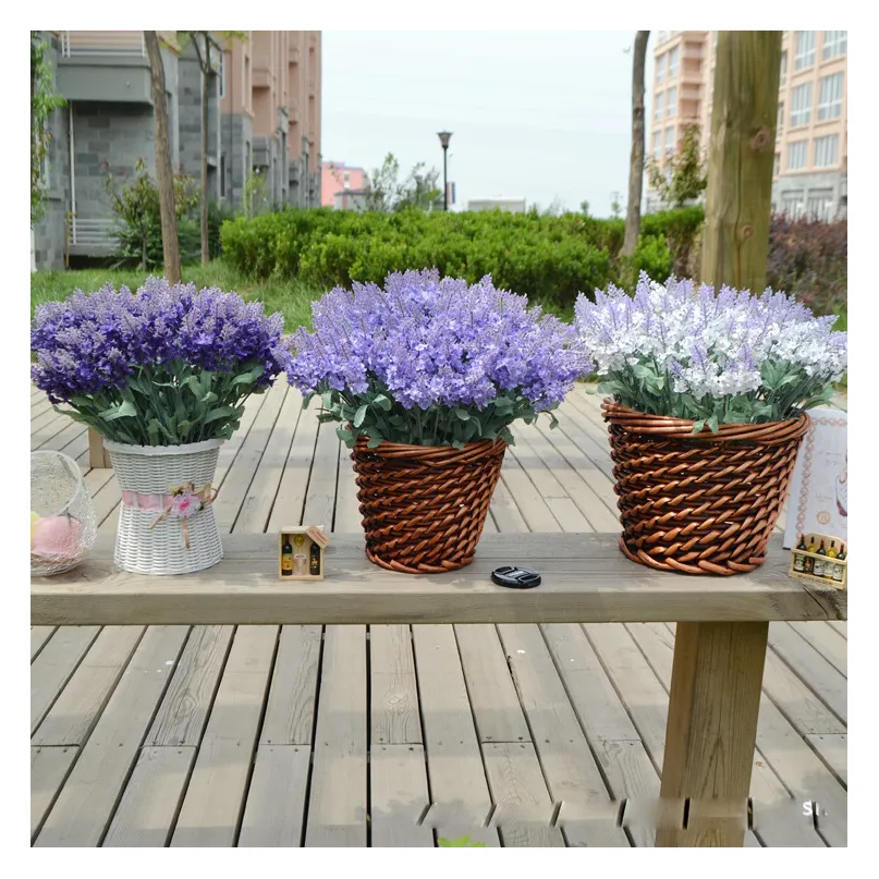 Pekerjaan taman bunga dekoratif Provence lavender sage Setaria