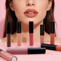 Vendeur de brillant à lèvres mat sans marque Cosmétiques de marque privée personnalisés Faites votre propre rouge à lèvres liquide mat