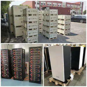 Batería solar de alta capacidad Dyness BX51100 Batería de litio 51,2 V 100AH 5.12kWh Celdas de batería Lifepo4 de ciclo profundo