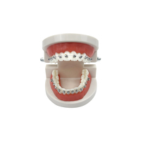 YOUYA DENTAL MX-076 Modèle dentaire anatomique en résine transparente pour orthodontie, aligneurs thermoformés, typodont pour l'enseignement et l'apprentissage