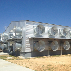 For 4 Tier 5 Door Heavy Duty <strong>Galvanized</strong> Steel Automatic Chicken Cage System 5-Year Warranty for Commercial Egg Production - Product Image 6