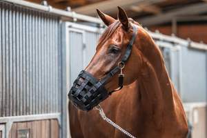 قناع فم الحصان المتين مع تصميم شبكي قابل للتنفس ، أحزمة قابلة للتعديل ، كمامة خيول مضادة للعض للاستخدام المستقر والخارجي - Product Image 2