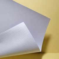 Bâche PVC Souple 220 g/m² Bon Marché, Finition Brillante ou Mate, Rouleaux d'Impression pour Publicité Extérieure
