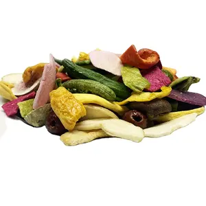TTN 2023 Hot Sale Vacuum Fried Vegetable chips Products Catalogue List