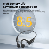Écouteurs Sans Fil Sport Bluetooth à Conduction Osseuse Ouverte IPX7 Étanche de Haute Qualité avec Mode MP3 et Mémoire de 16 Go