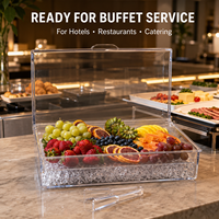 Hot Sale Transparent PS Plastic Chilled Fruit Platter With Flip Lid for Backyard Events BBQ Buffet Food Serving