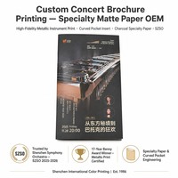 Özel Ofset Baskılı Konser Programı Metalik Fotoğraf Kitapçığı, Kavisli Kesim Cepli ve Sanat Kağıdı Üzerine Saddle Dikişli
