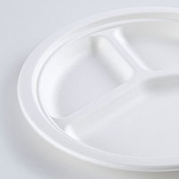 Boîte à lunch jetable biodégradable de 10 pouces en bagasse de canne à sucre avec bagasse maintenant disponible sur le marché des EAU