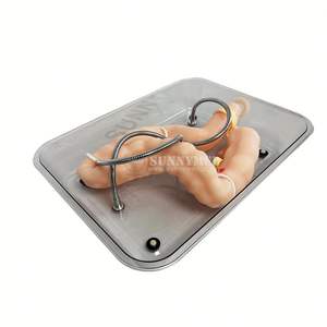 Хирургический симулятор толстой кишки, медицинская обучающая модель пищеварительной системы, гастродуоденальная модель для эндоскопического обучения ESD - Product Image 2