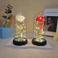 Rose éternelle avec lumières LED, acrylique et plastique, nouveau dôme en verre galaxie pour mariage, Noël, salon, emballé dans une boîte cadeau